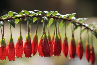 广州海珠区私人快速借钱网，轻松解决资金难题
