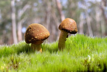 广州海珠区私人老板放款：轻松融资的秘密通道